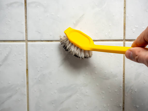 Best Mold Cleaning Services  in Bellingham, WA