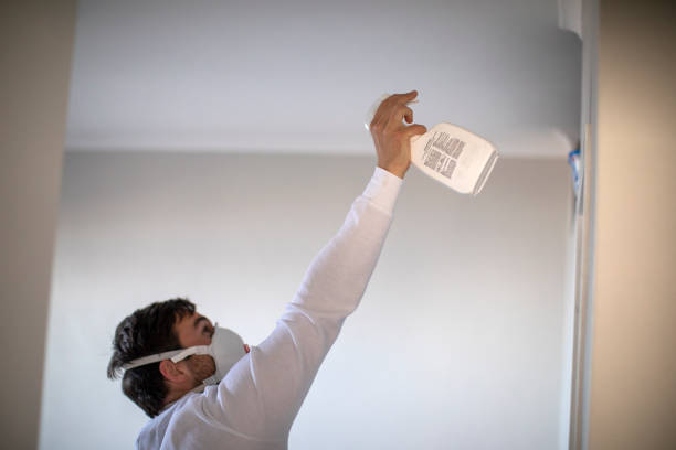 Best Professional Mold Removal  in Bellingham, WA