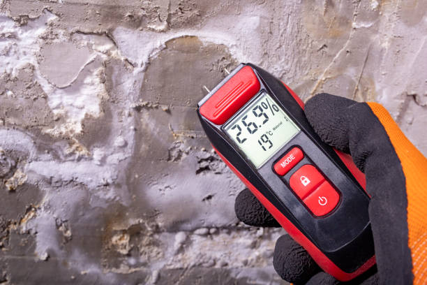 Mold Removal Process in Bellingham, WA