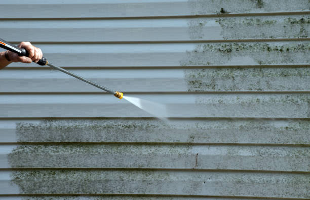Best Residential Mold Removal  in Bellingham, WA